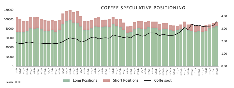 美国农业部(USDA)展望论坛:2025年小麦种植面积预计达到4700万英亩