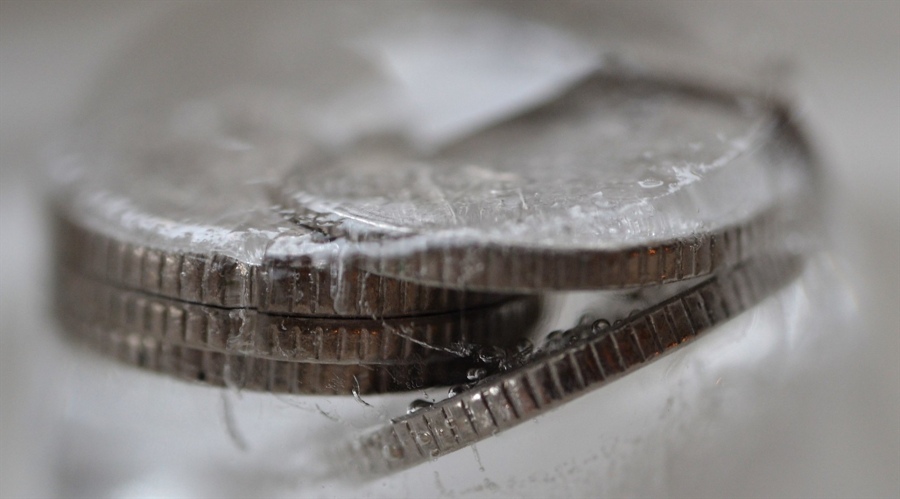 马斯克对参议员支持的乐观展望